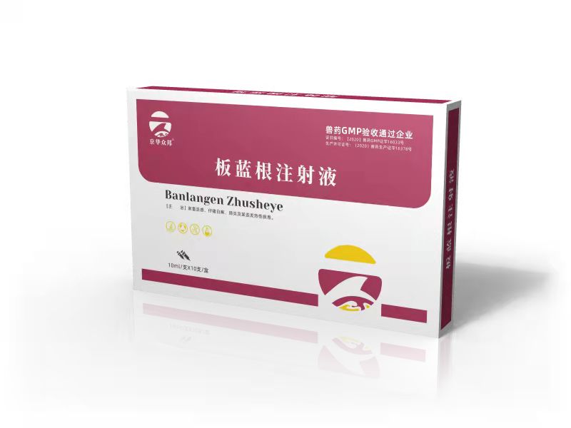 1637573894231021632.jpg 板蓝根注射液.jpg